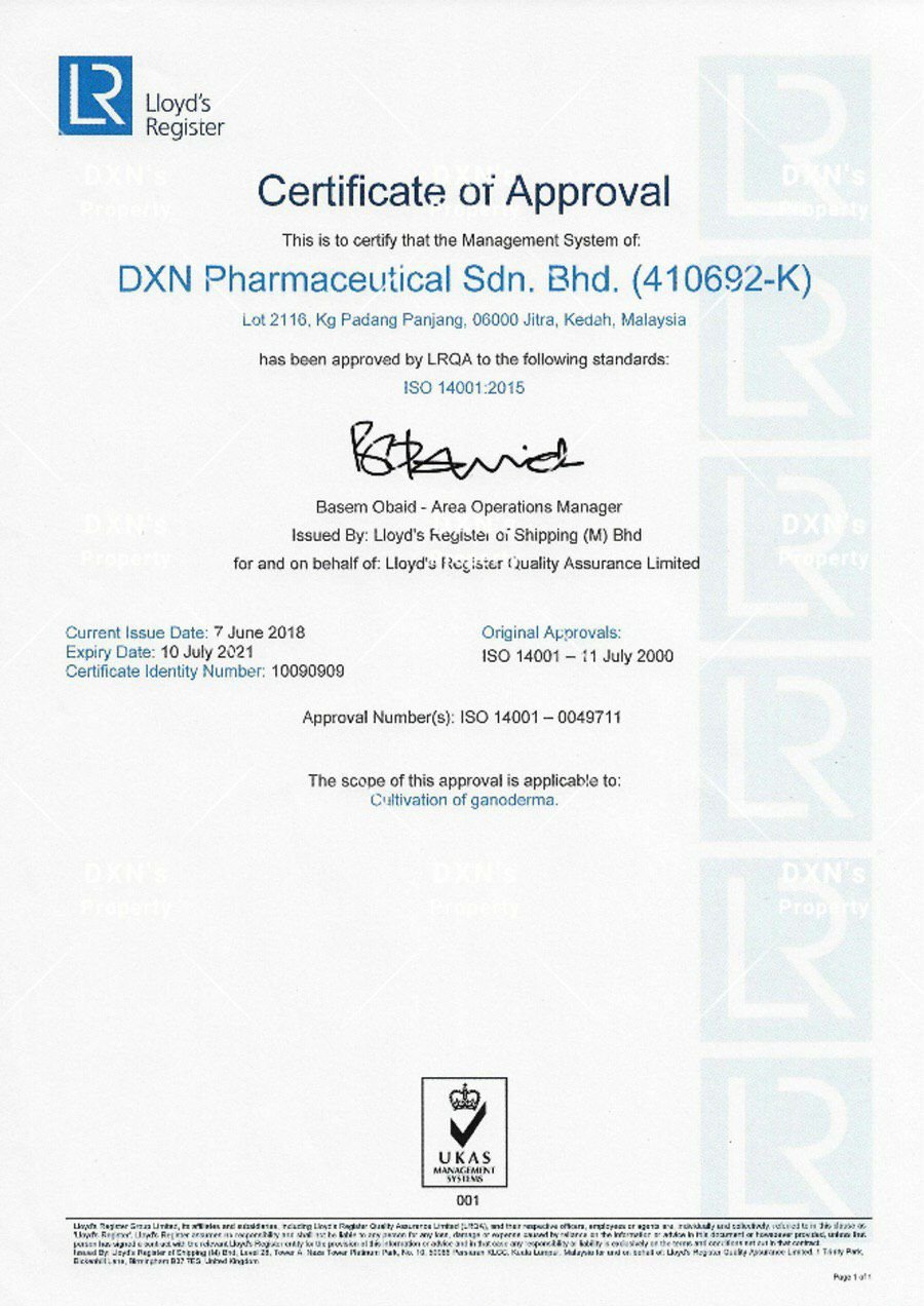 photo_2024-02-08_20-09-08