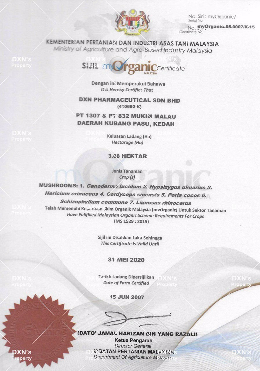 photo_2024-02-08_20-09-22