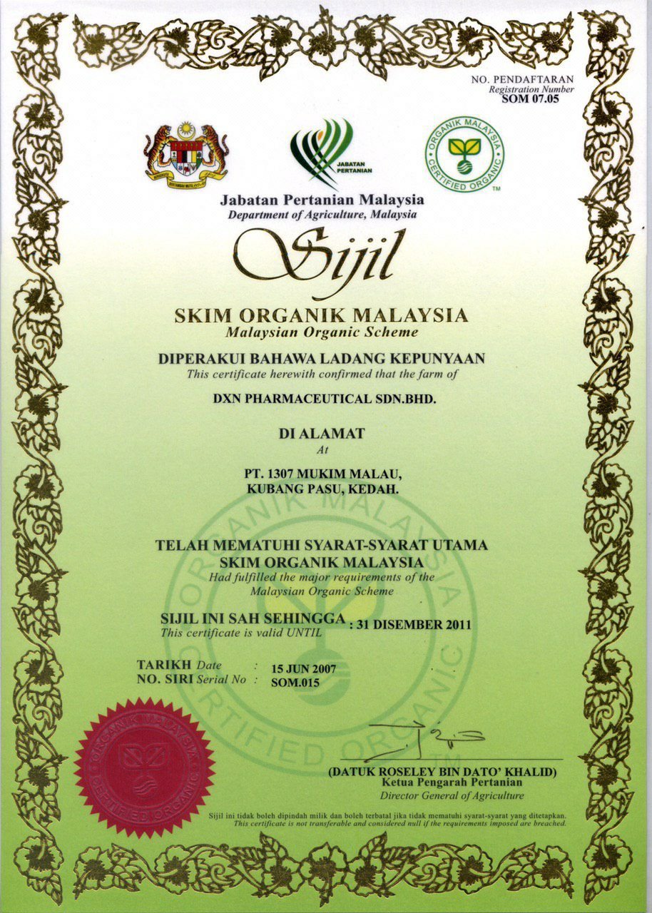 photo_2024-02-08_20-09-31